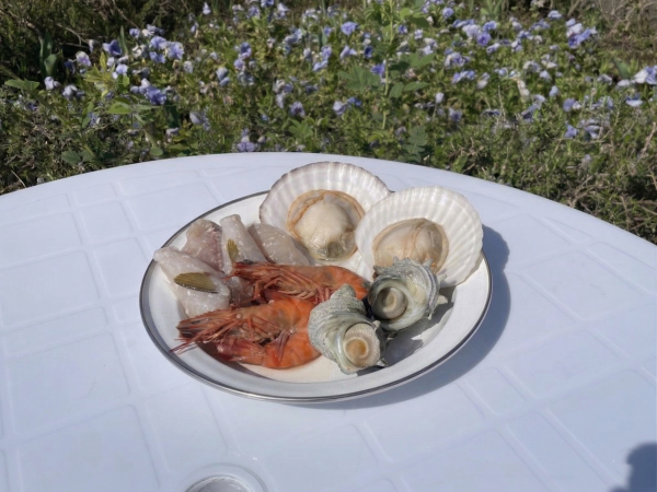 横須賀 海鮮セット 1人前