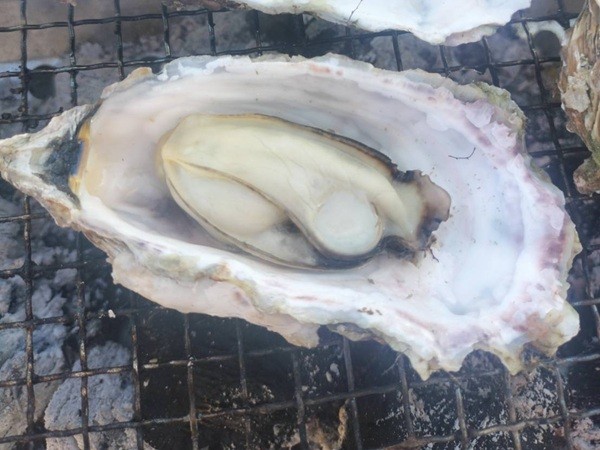 北海道噴火湾産「殻付き牡蠣」1個