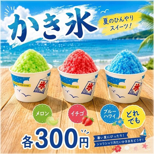かき氷 各種