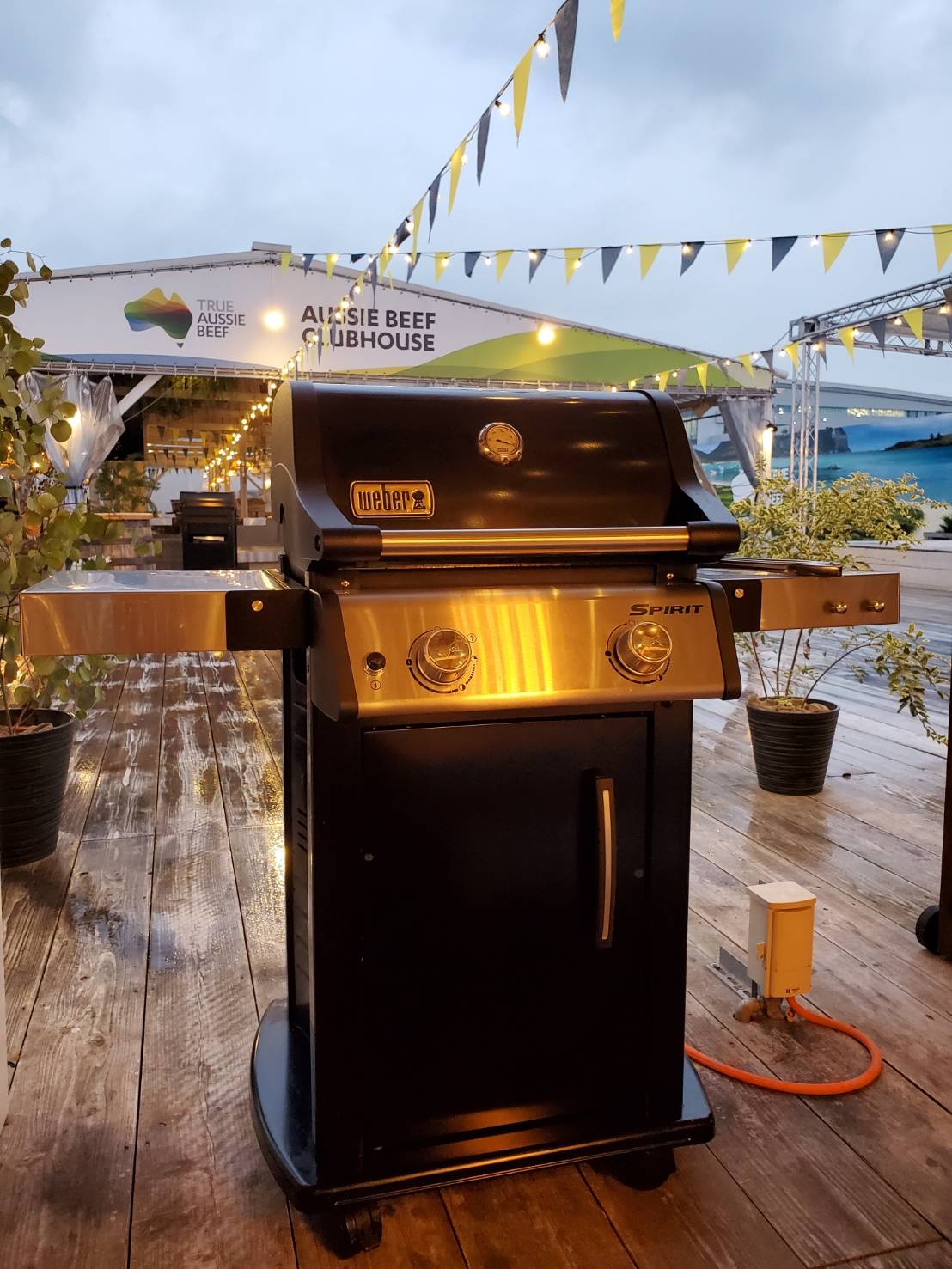 ウェーバー(Weber)スピリットガスグリル