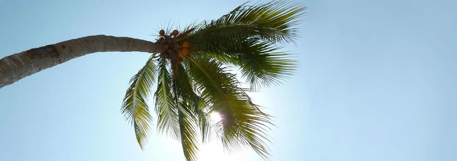 爆釣美浜フィッシングパーク